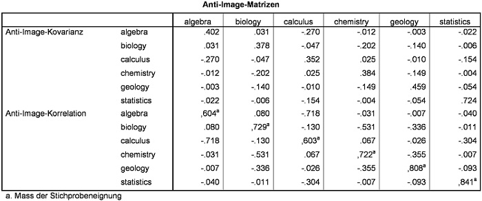 Abbildung 4: Anti-Image-Matrizen