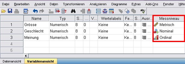 Abbildung 3: Darstellung des Skalenniveaus in SPSS